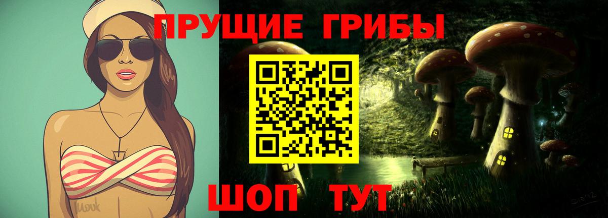 Псилоцибиновые грибы GOLDEN TEACHER  Вход с VPN  Галлюциногенные грибы ЛСД  Таганрог 